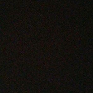 Meet your Posher, Talisa